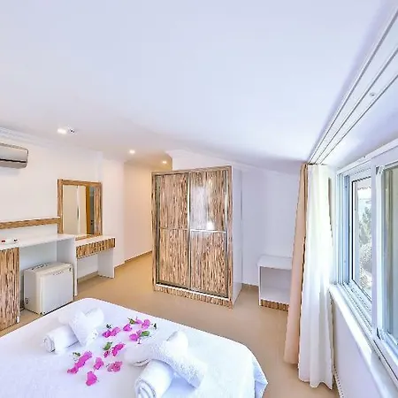 Hotel Anfora 3*