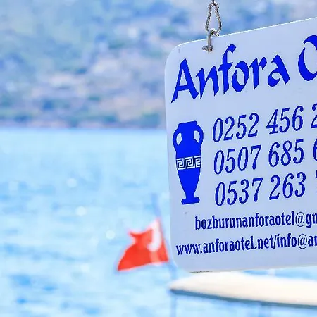 Hotel Anfora 3*