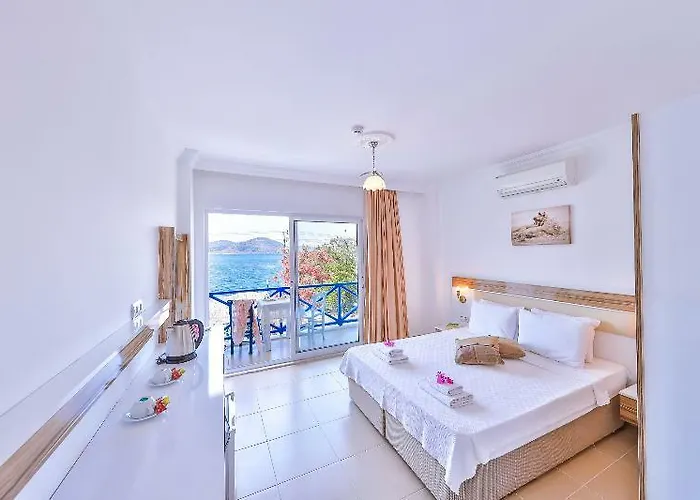 Отель Anfora 3*